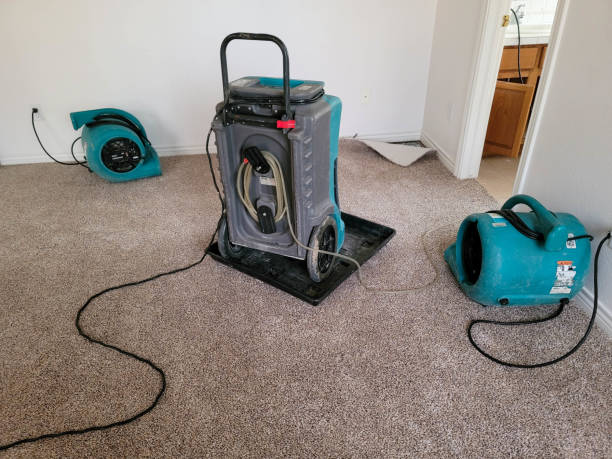 Best Basement water damage restoration  in Chowchilla, CA