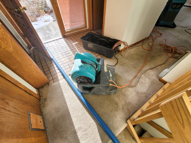 Best Flood damage cleanup  in Chowchilla, CA