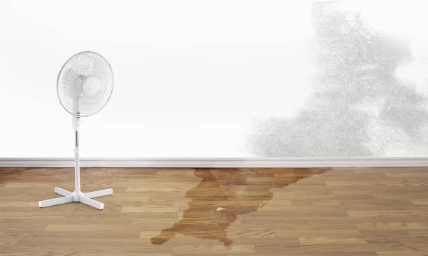 Best 24/7 water damage repair  in Chowchilla, CA