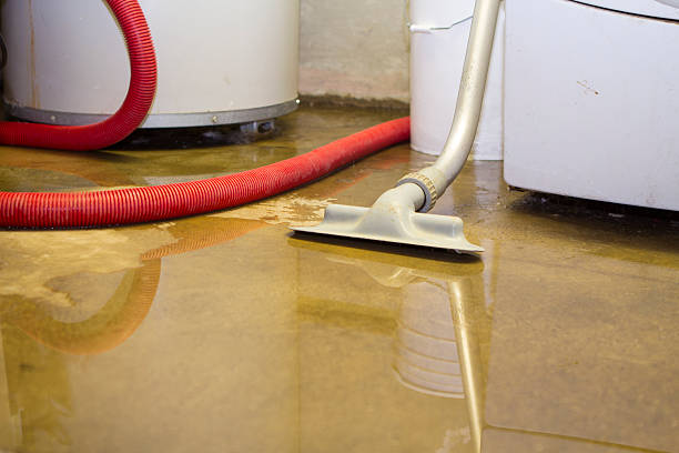 Best Flood restoration services  in Chowchilla, CA