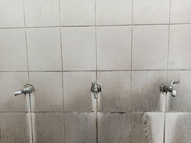 Best 24/7 water damage repair  in Chowchilla, CA