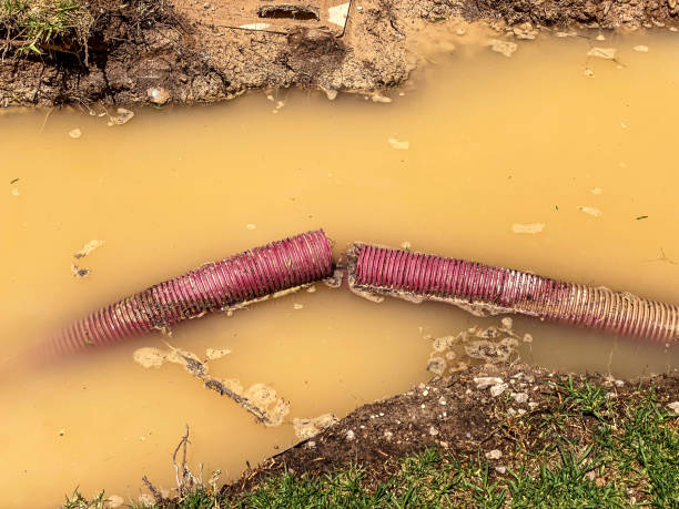Best Basement water damage restoration  in Chowchilla, CA