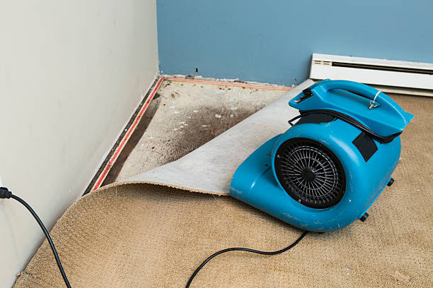 Best Water damage contractors near me  in Chowchilla, CA